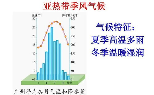 揭秘：亚热带湿润气候与亚热带季风性湿润气候，究竟有何异同？ 2