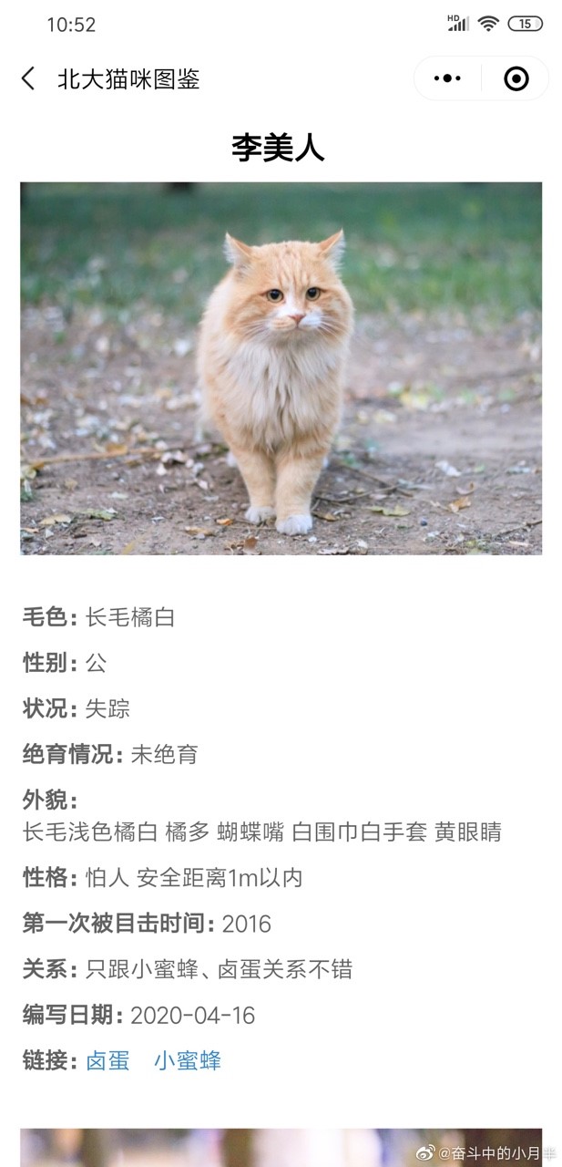 北大猫咪图鉴 1