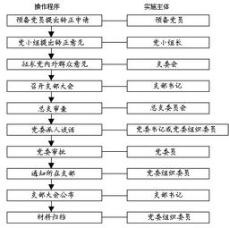 2019预备党员转正申请全流程指南 4