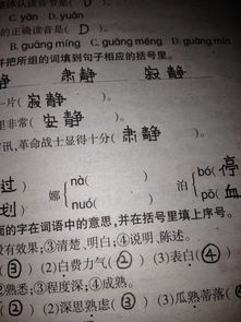 娜字可组成的词语有哪些 4