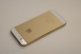 iPhone 5s与5c全面对比：差异究竟在哪里？ 3