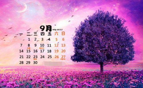 一旬包含多少天 1