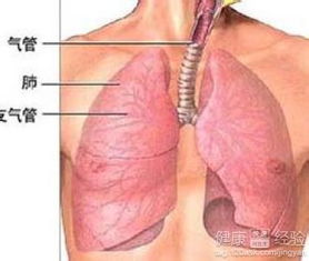 支气管炎干咳的有效止咳妙招，你了解多少？ 4