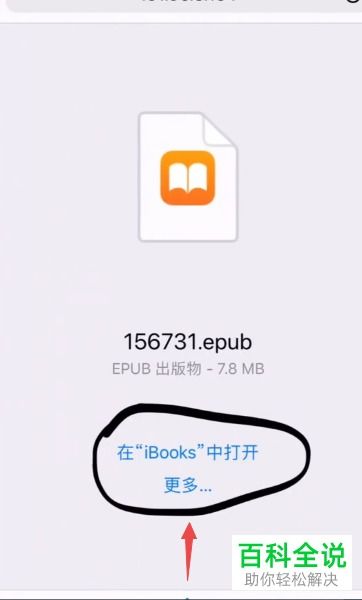 轻松掌握：如何向Apple Books导入本地书籍 4