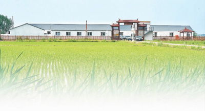 吉林省公主岭市的邮编是多少？ 2