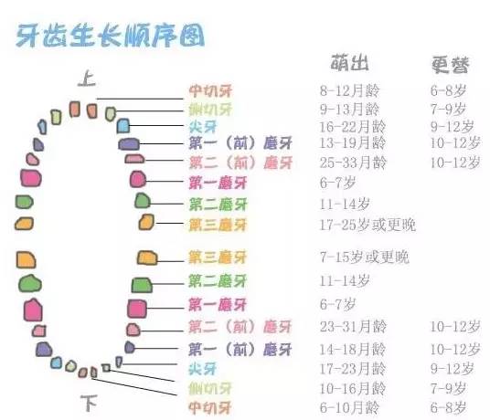 解析：序齿排班的含义是什么？ 3