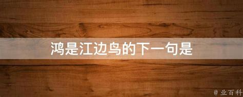 揭秘：鸿是江边鸟，下一句隐藏着什么？ 3