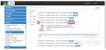 轻松指南：如何在MSDN下载Windows 10官方镜像 1