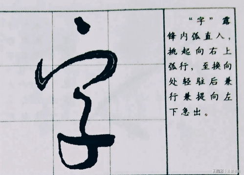 揭秘“皮”字的独特结构 3