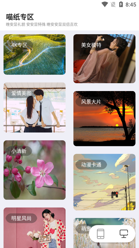 喵纸专区高清版 1