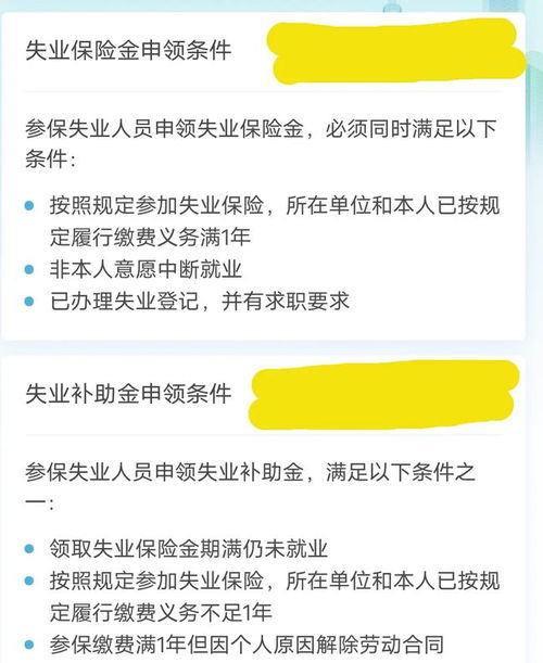 轻松指南：如何申请疫情补助金 2