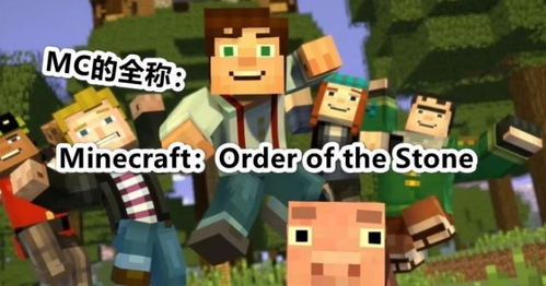 MC的含义是什么 2