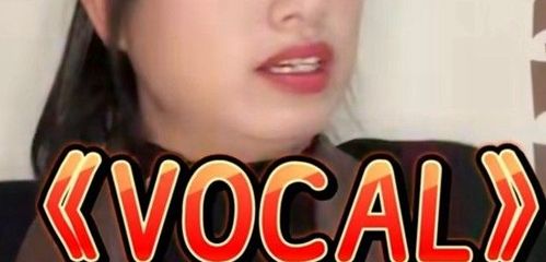 Vocal的含义是什么？ 2