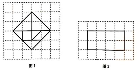 七巧板是由多少种不同图形组成的？ 4