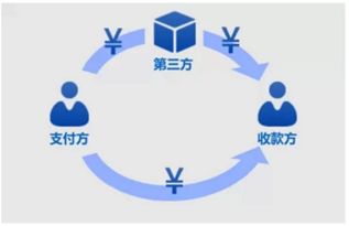 支付手段与流通手段有何不同？ 4