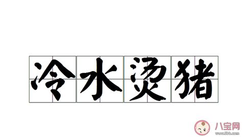 揭秘“蚂蚁庄园成语挑战”：冷水烫猪，究竟形容何种奇景？ 4