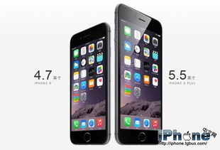 香港iPhone 6/6 Plus售价大揭秘！ 4