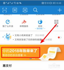揭秘：轻松查看你的支付宝年度账单攻略 2