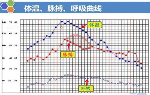 如何规范填写体温单：详细指南 4