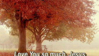 揭秘：“I love you so much”的真正含义 2