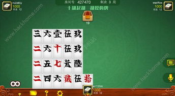 精通跑胡子：全面游戏攻略指南 3