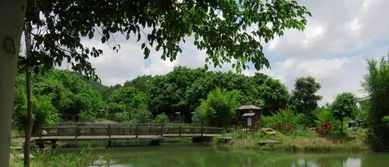 珠海竹仙洞公园现在是否开放？ 4