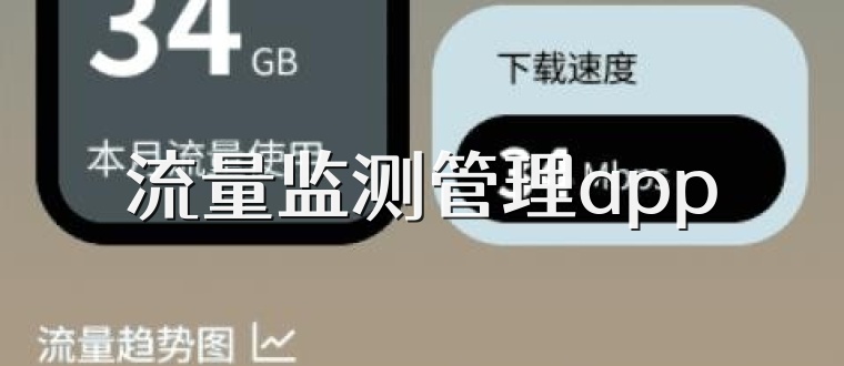 流量监测管理app