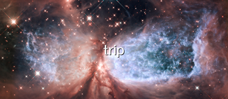 trip