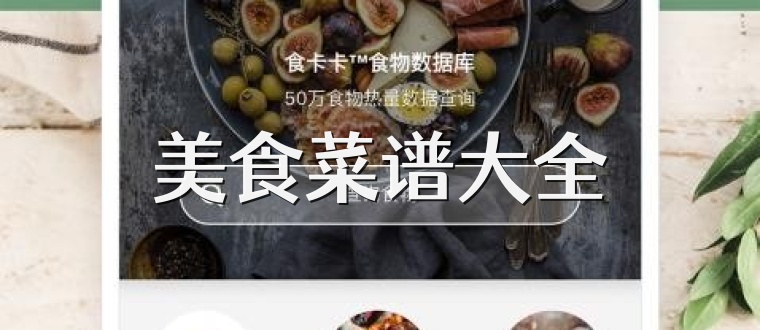 美食菜谱大全