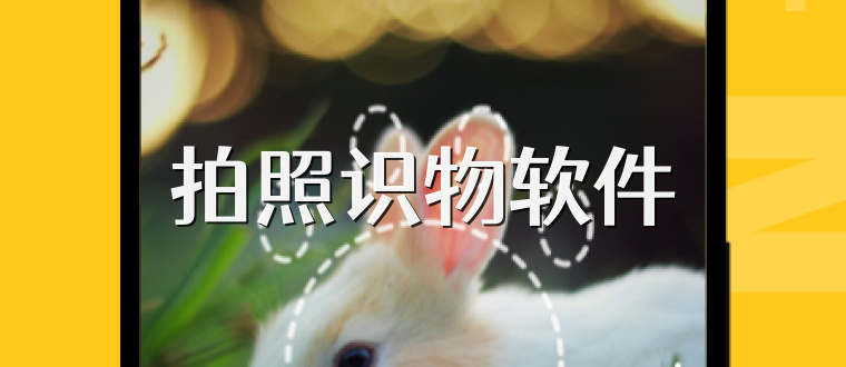 拍照识物软件