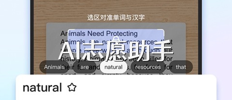 AI志愿助手