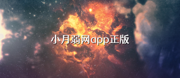 小月弱网app正版