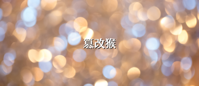 篡改猴