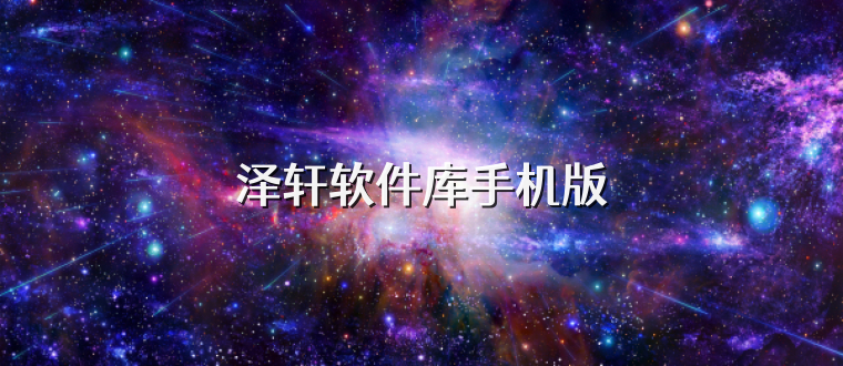 泽轩软件库手机版