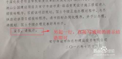 行政公文：意见的规范格式 2