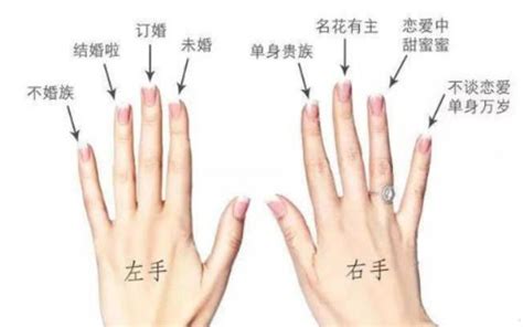 揭秘：“系指”与“是指”的微妙差异 2