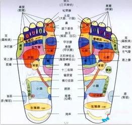 通过脚底穴位按摩实现减肥的方法 2