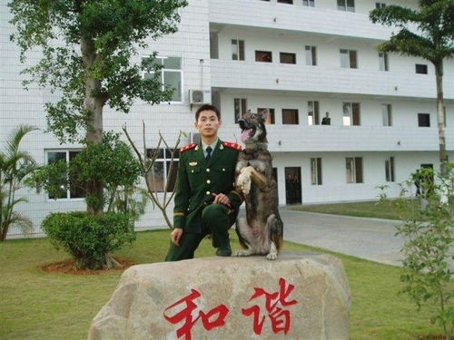 揭秘武警杭州指挥学院：实力与风采如何？ 2