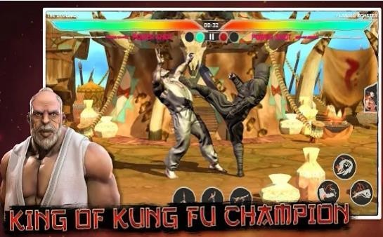 功夫之王KOKF冠军 截图2