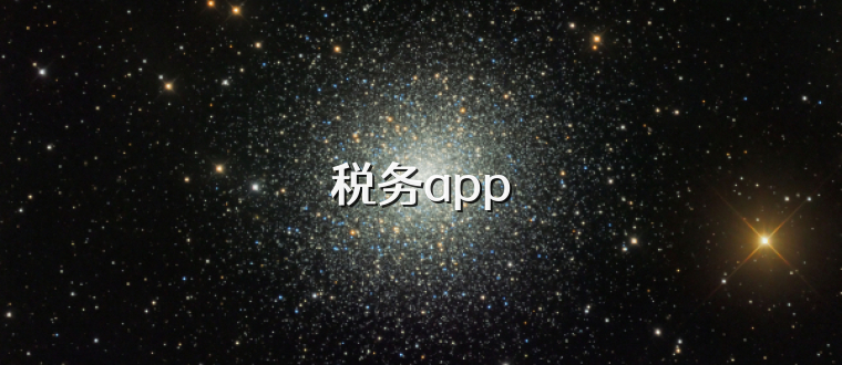 税务app