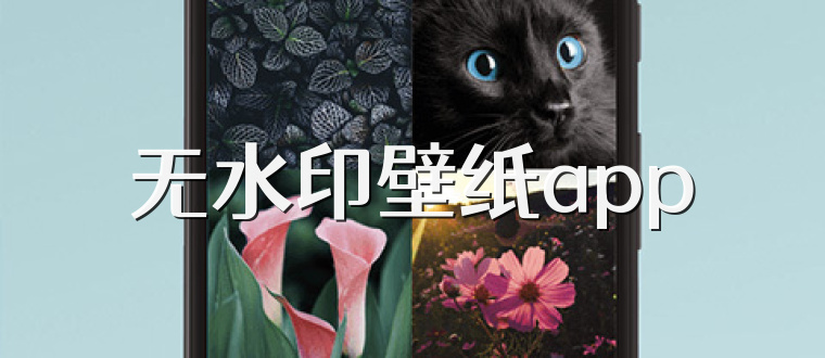 无水印壁纸app