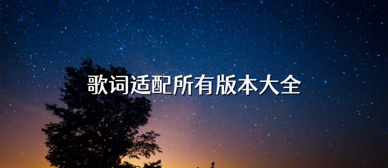 歌词适配所有版本大全