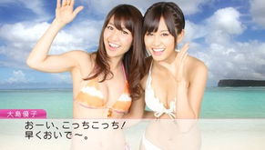 PSP《AKB1/48：与偶像恋爱的话在关岛》为何会出现黑屏死机问题？ 3