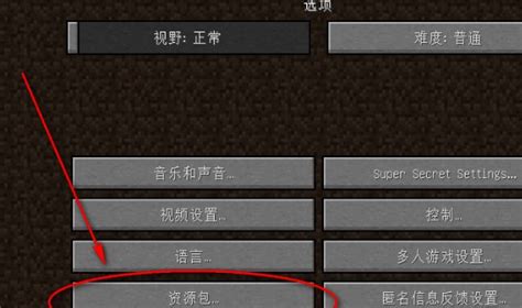 解锁Minecraft新世界：如何轻松应用材质包 1