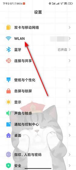 手机如何更改WiFi静态IP地址？ 2