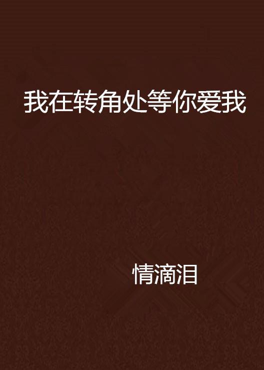 这句“我在这儿等你，静静爱我”出自哪首歌的歌词？ 2