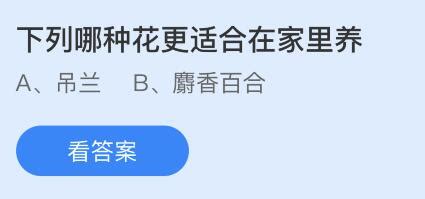 乔迁之喜中的“乔”原本是什么意思？ 2