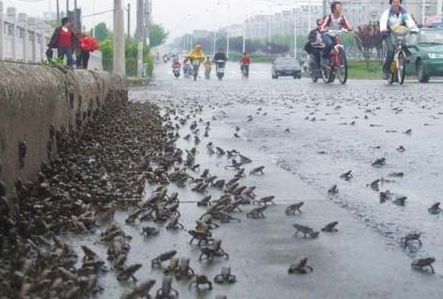 地震前的预警信号有哪些 4