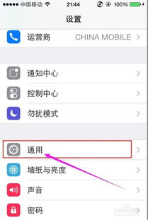 轻松掌握iPhone技巧：用Assistive Touch手势代替Home键 2