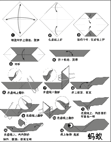 纸艺蚁行 1